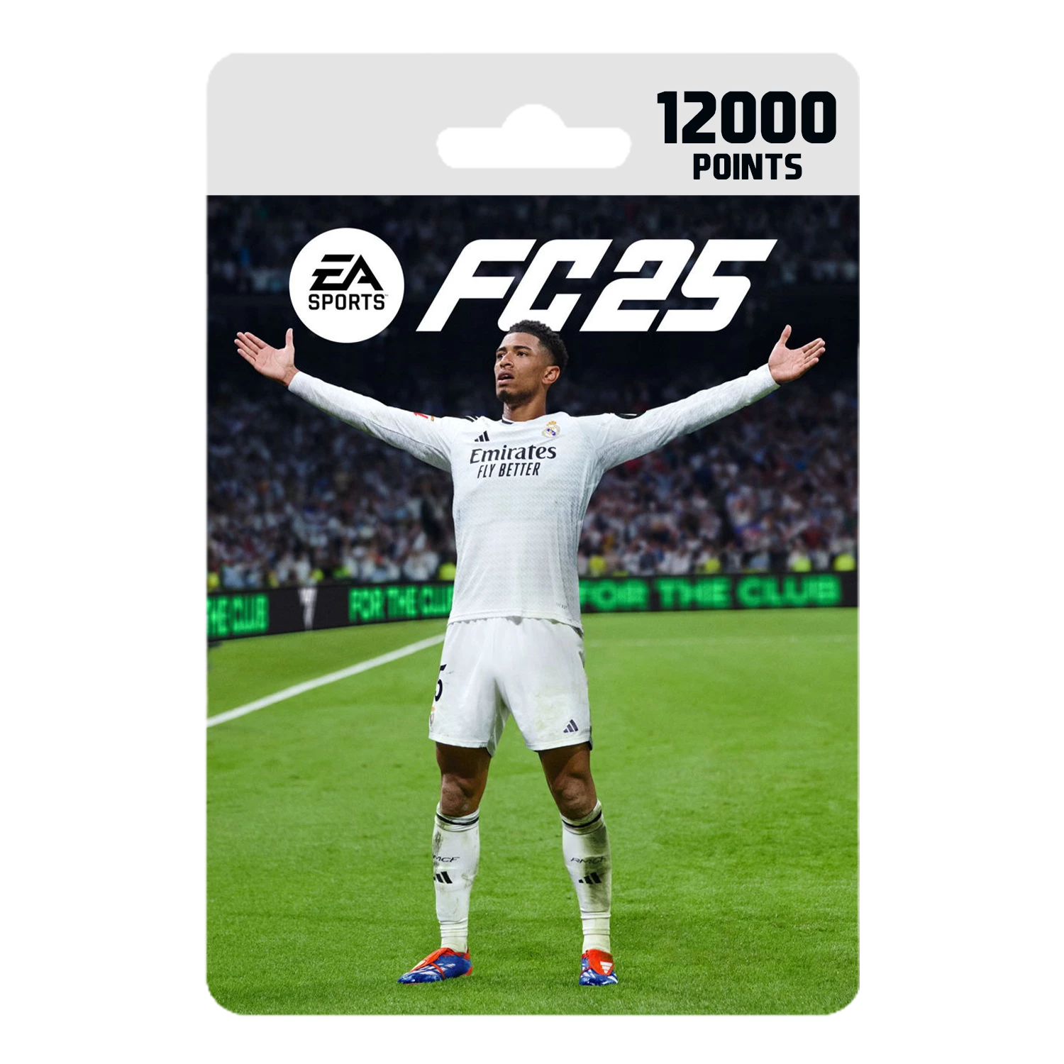 نقاط EA FC ٢٥ - ١٢٠٠٠