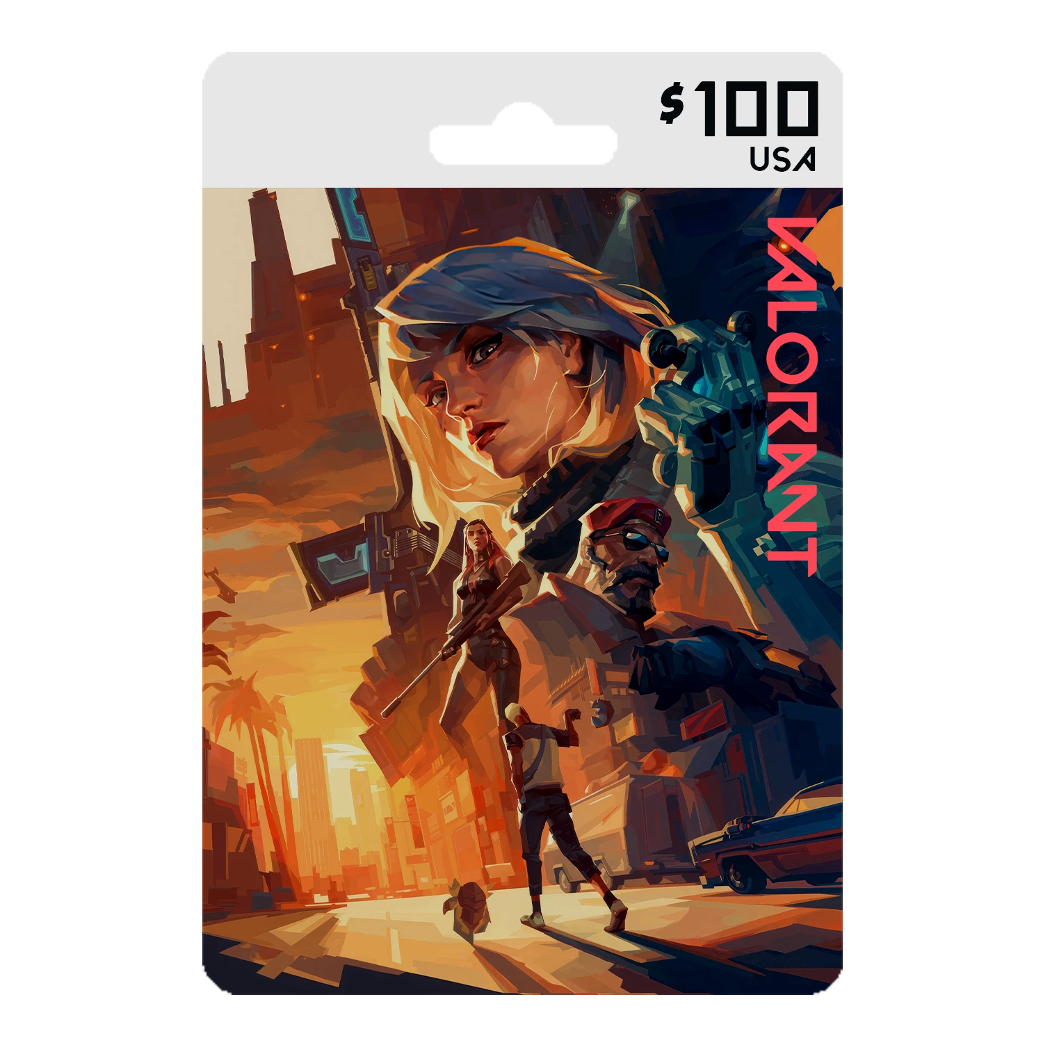 Valorant USA 100 USD